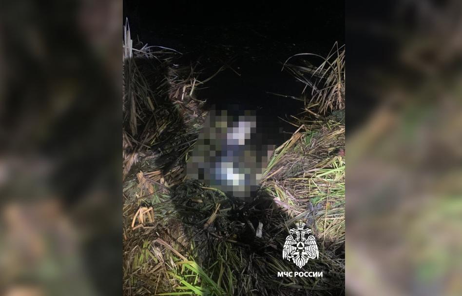 В поселке Калашниково Тверской области в пруду нашли утонувшего Фото: ГУ МЧС России по Тверской области