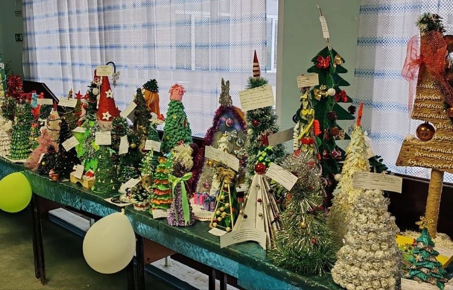 Юных жителей Тверской области приглашают к участию в экоакции «Ёлочка-2025» Фото предоставлено правительством Тверской области