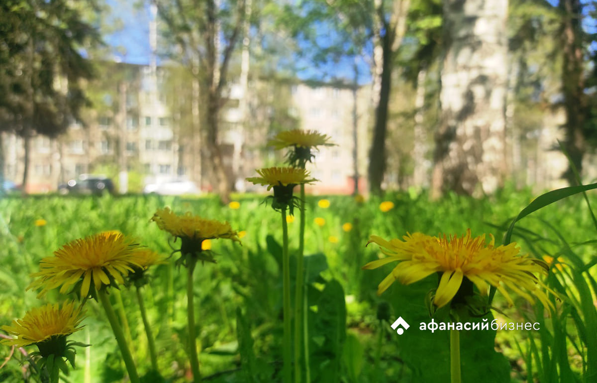 Прогноз погоды в Твери: арктическое вторжение подпортит начало мая Фото: Afanasy.biz