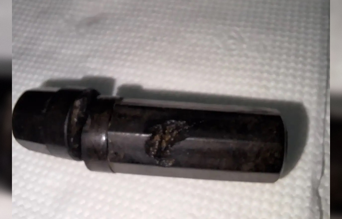 В Ржевском районе в пойме реки нашли останки еще троих красноармейцев Фото: Игорь Кабанов, п/о «Память 29 армии» (г. Ржев)