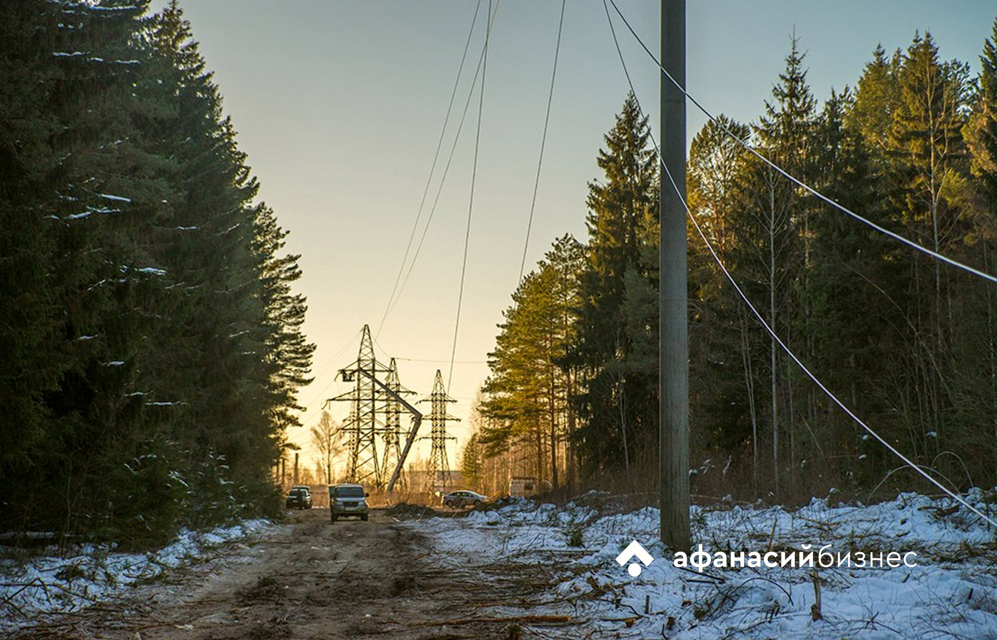 В Тверской области заведено уголовное дело из-за хищений средств на просеки для линий электропередач - новости Афанасий