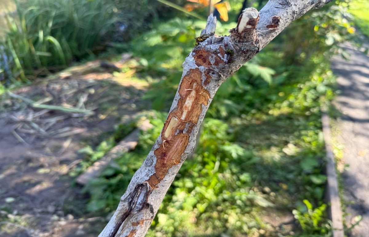 В Оленино могут запретить лов в популярном у рыбаков месте Фото: «Оленино – наш дом»