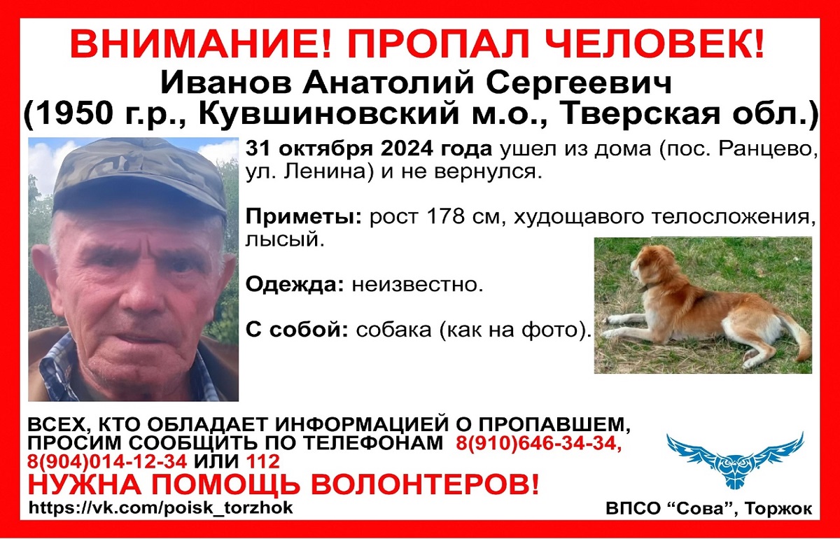 В Кувшиновском районе разыскивают пенсионера с собакой Фото: ВПСО "Сова"