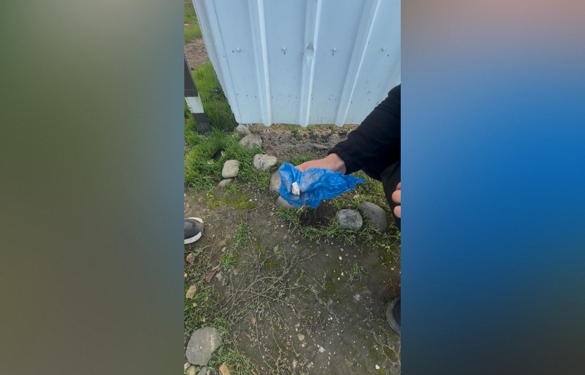 В Краснодарском крае будут судить наркоманку из Тверской области - новости Афанасий