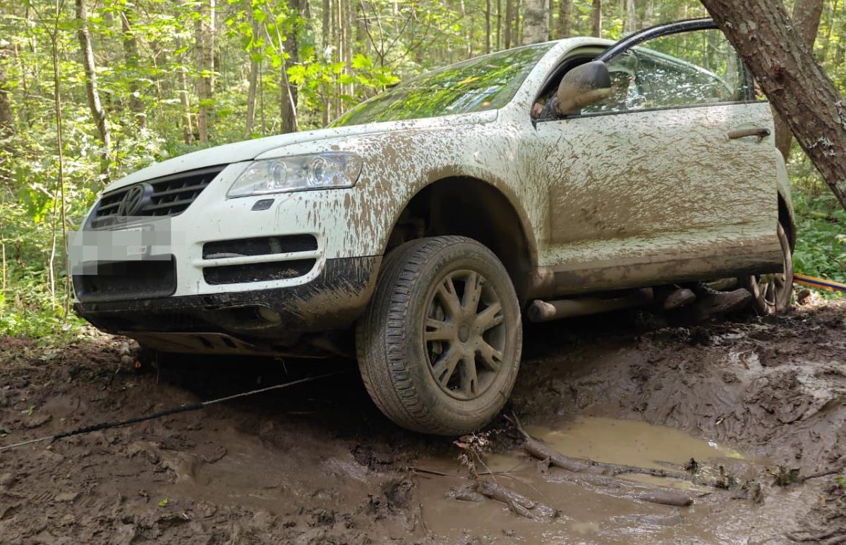 Волонтерам во время поисков в Тверской области потребовалась помощь спасателей - новости Афанасий