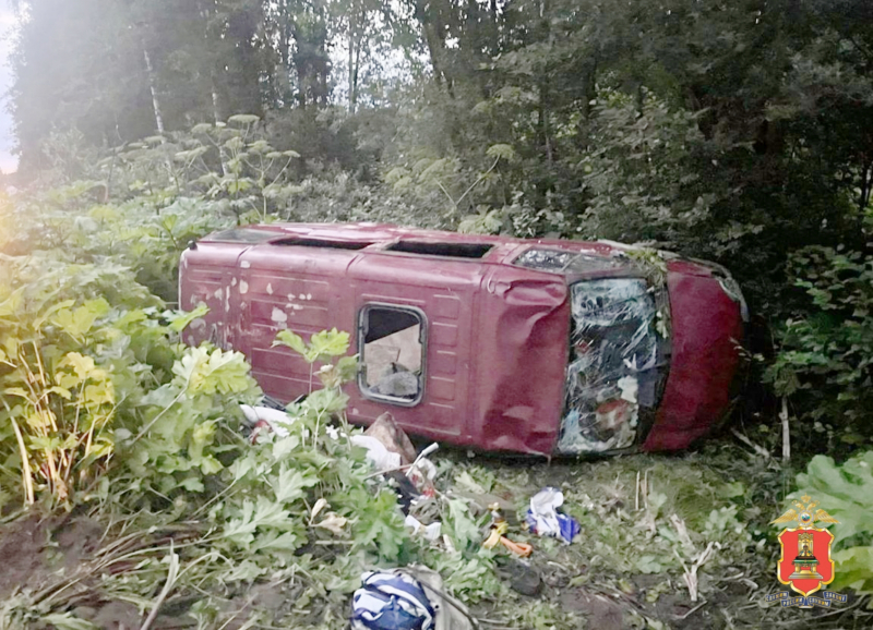 Многодетная семья выжила после столкновения автомобиля с лосем в Тверской области - новости Афанасий
