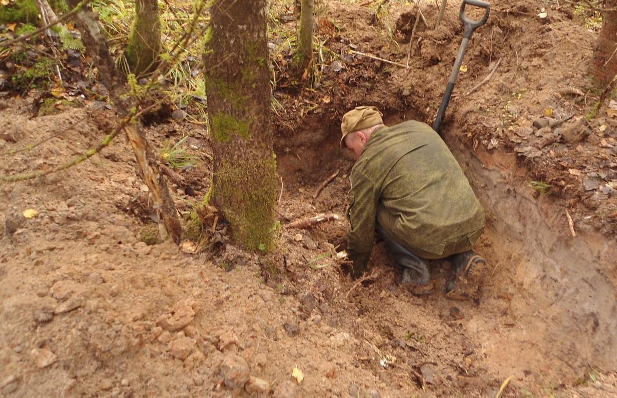 В Тверской области нашли останки неизвестного солдата, погибшего в годы ВОВ - новости Афанасий