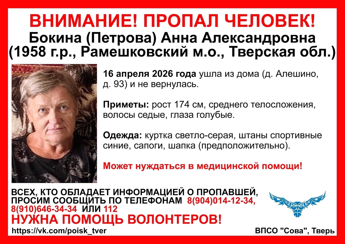 В Тверской области продолжается поиск пропавшей пенсионерки Фото: ВПСО "Сова"
