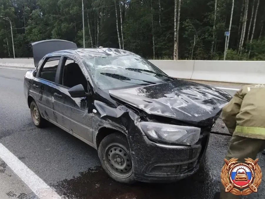 Водитель погиб после наезда авто на ограждение на М9 в Тверской области Фото: Управление Госавтоинспекции по Тверской области
