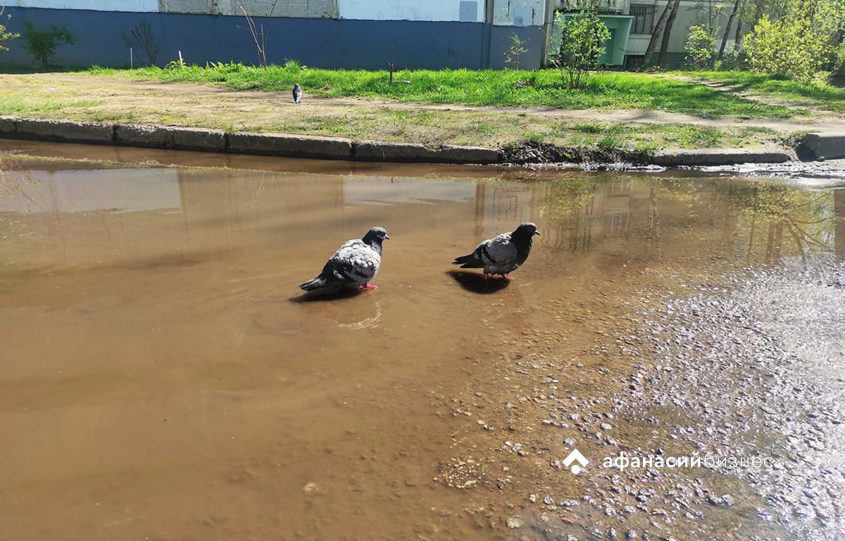 В Твери выпало 36% месячной нормы осадков Фото: архив Afanasy.biz