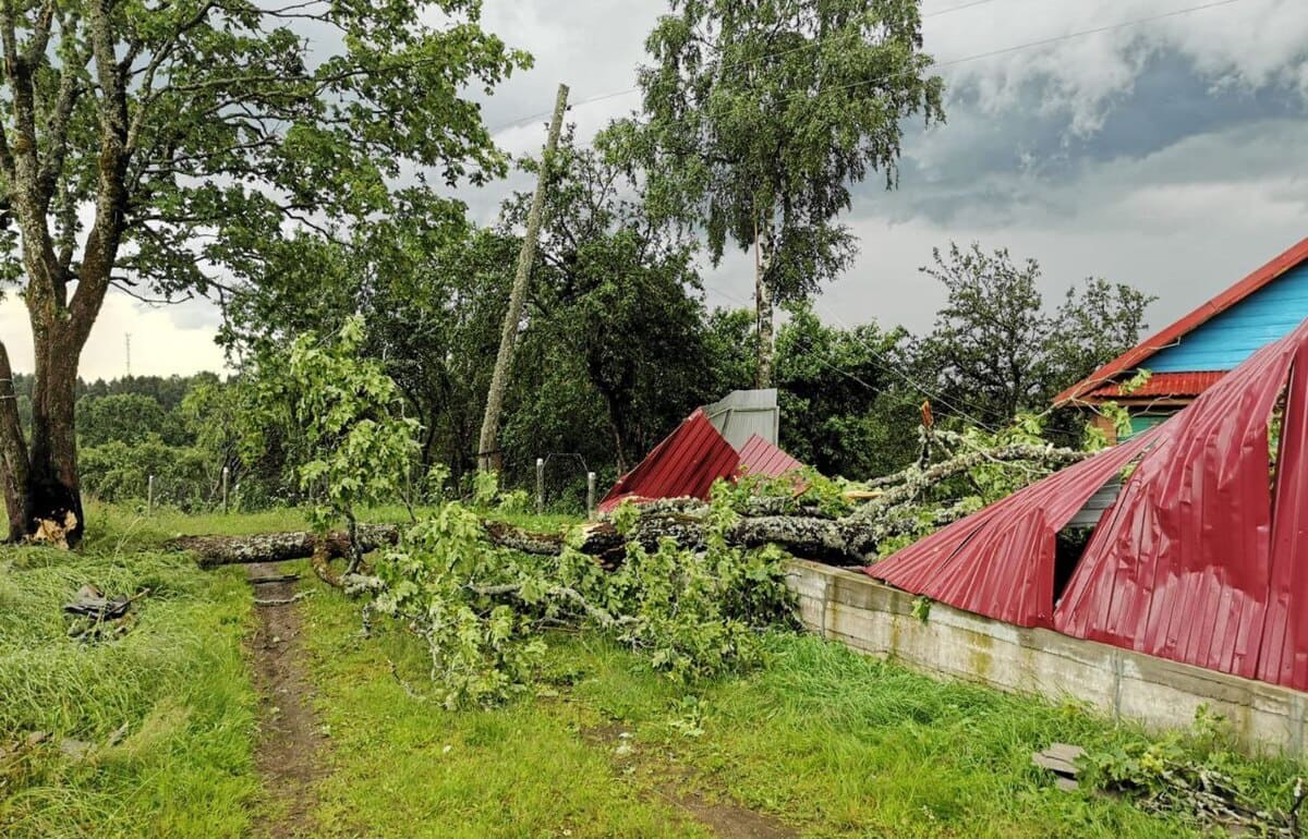 В Тверской области восстанавливают электроснабжение после грозы и ветра - новости Афанасий