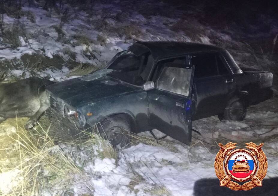 Под Лихославлем в ДТП с лосем пострадали два человека Фото: ГАИ