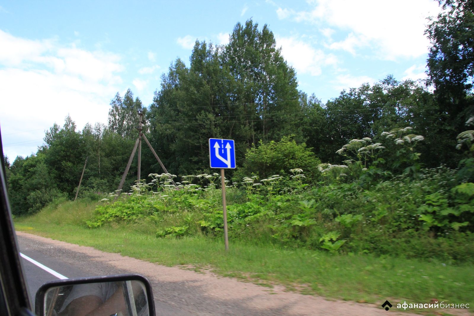 Администрация Кувшиновского округа продала участок в 20 раз дешевле кадастровой стоимости - новости Афанасий