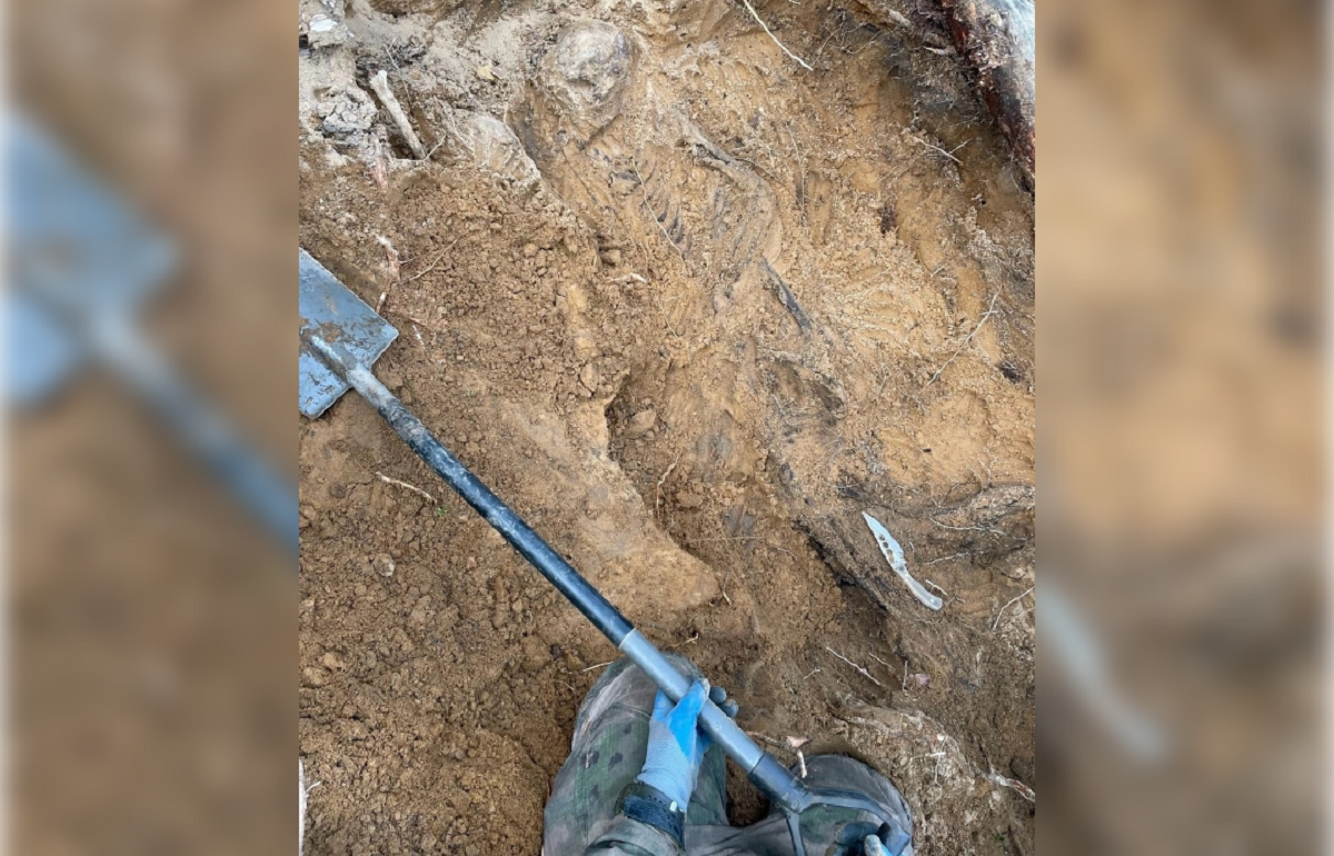 В Калининском районе найдено неучтенное воинское захоронение Фото: п/о «Разведчик» (г. Тверь)
