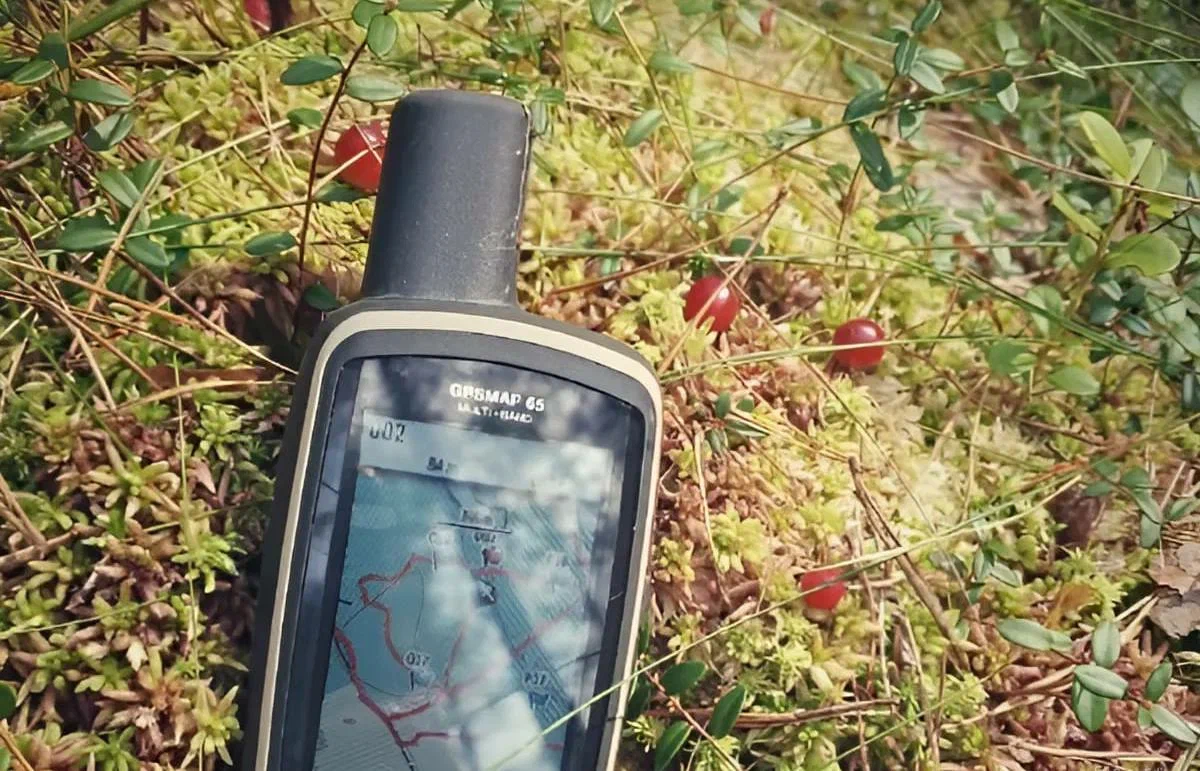 В Тверской области нашли троих потерявшихся пожилых людей - новости Афанасий