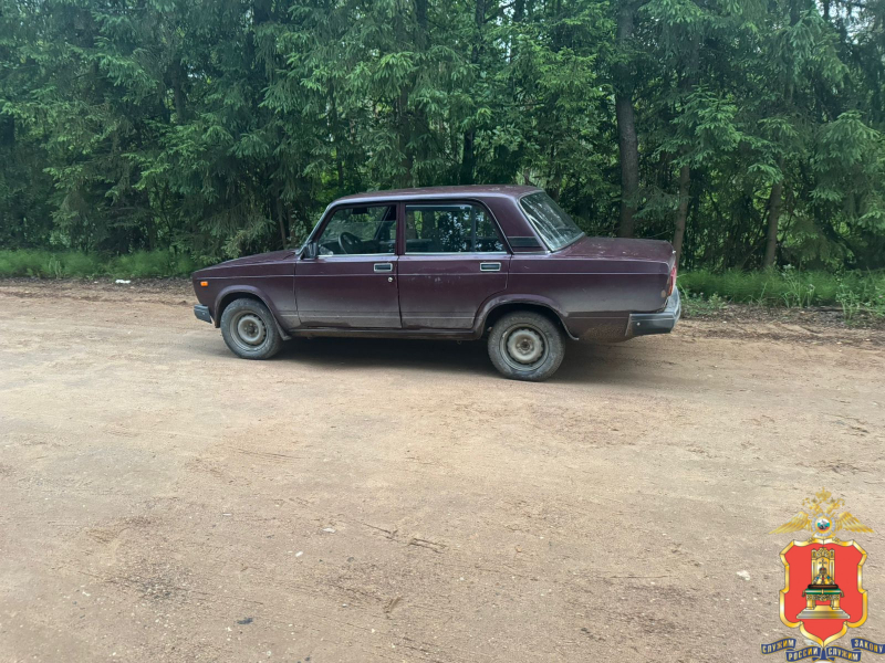 Угонщик из Нелидово был пьян и без водительских прав Фото: УМВД России по Тверской области