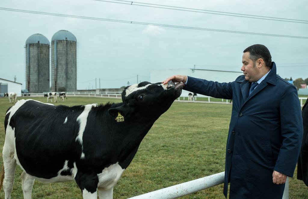 В Тверской области растет производство мяса, субпродуктов и мясной продукции 
