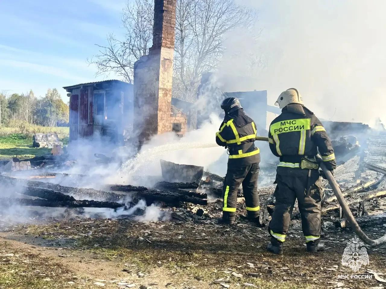 На пожаре под Ржевом в Тверской области пострадала женщина Фото, видео: ГУ МЧС России по Тверской области