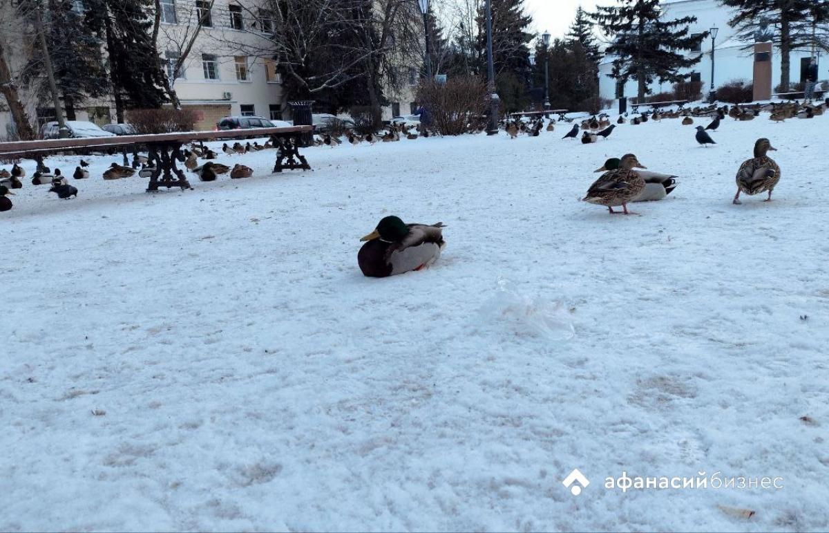 Сегодня в Твери очень холодно ночью, но уже ощутимо теплее днем