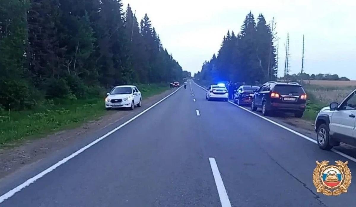 Годовалый ребенок вылетел из салона в момент ДТП с лосем под Бежецком Фото: ГАИ