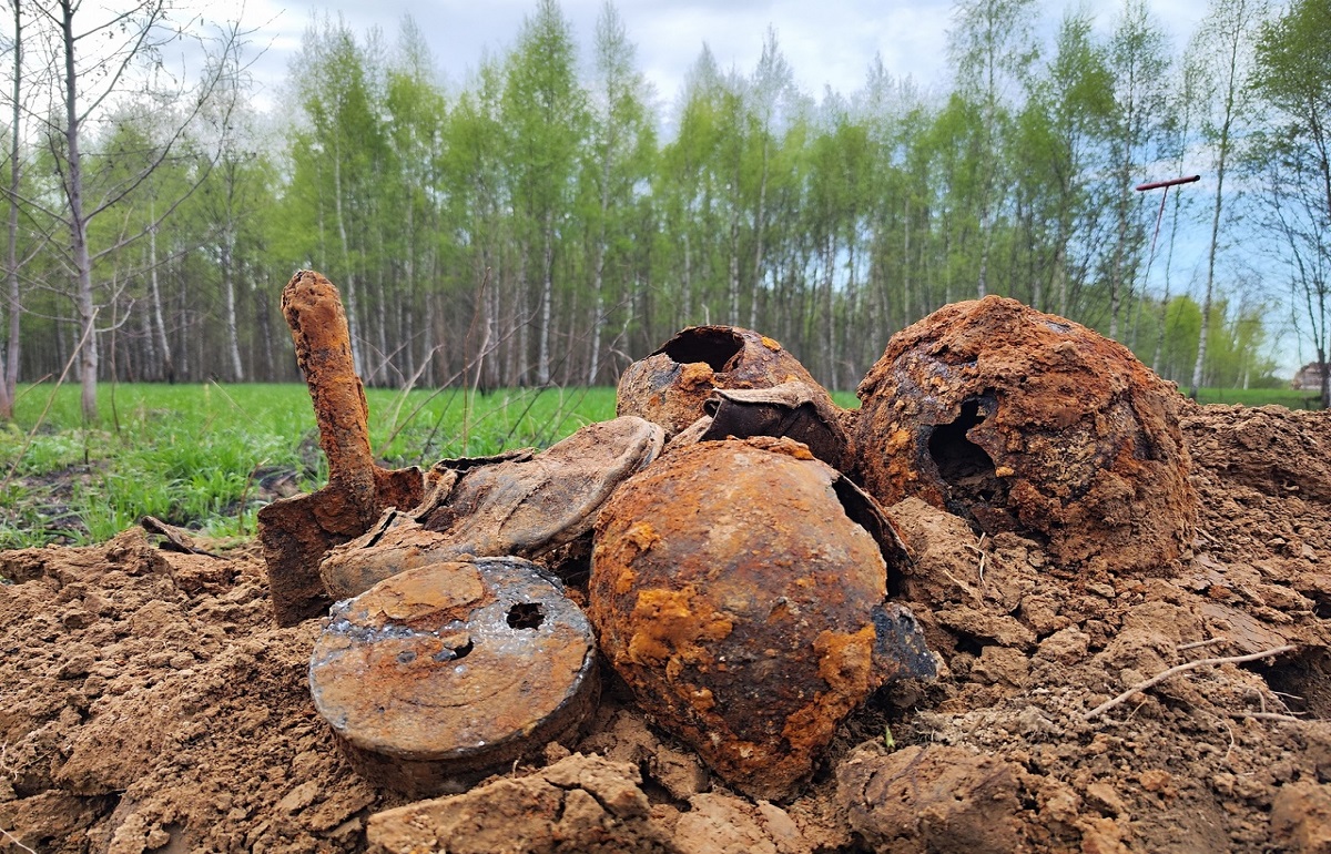 В Бельском районе нашли останки троих красноармейцев и сгоревшую рацию - новости Афанасий