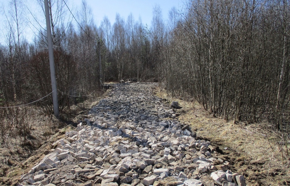 В Кимрском районе была устроена свалка из кирпичей и рубероида Фото: Министерство природных ресурсов Тверской области