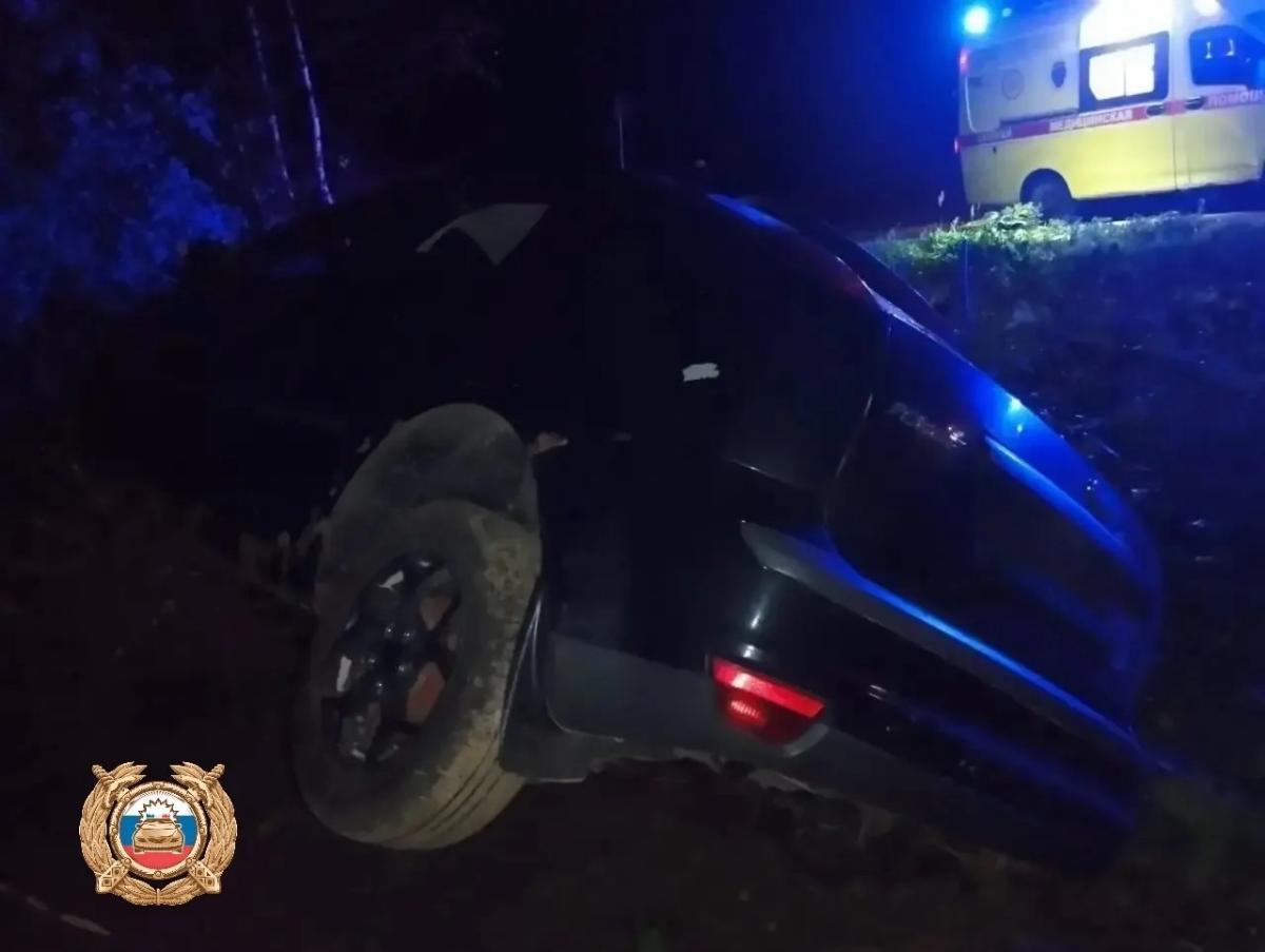 Автомобилистка, врезавшаяся в дерево под Ржевом, пыталась объехать лося Фото: ГАИ