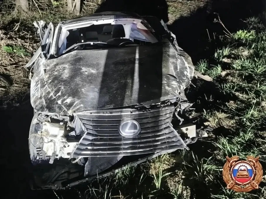 В ДТП под Лихославлем погиб водитель Лексуса Фото: Госавтоинспекция Тверской области
