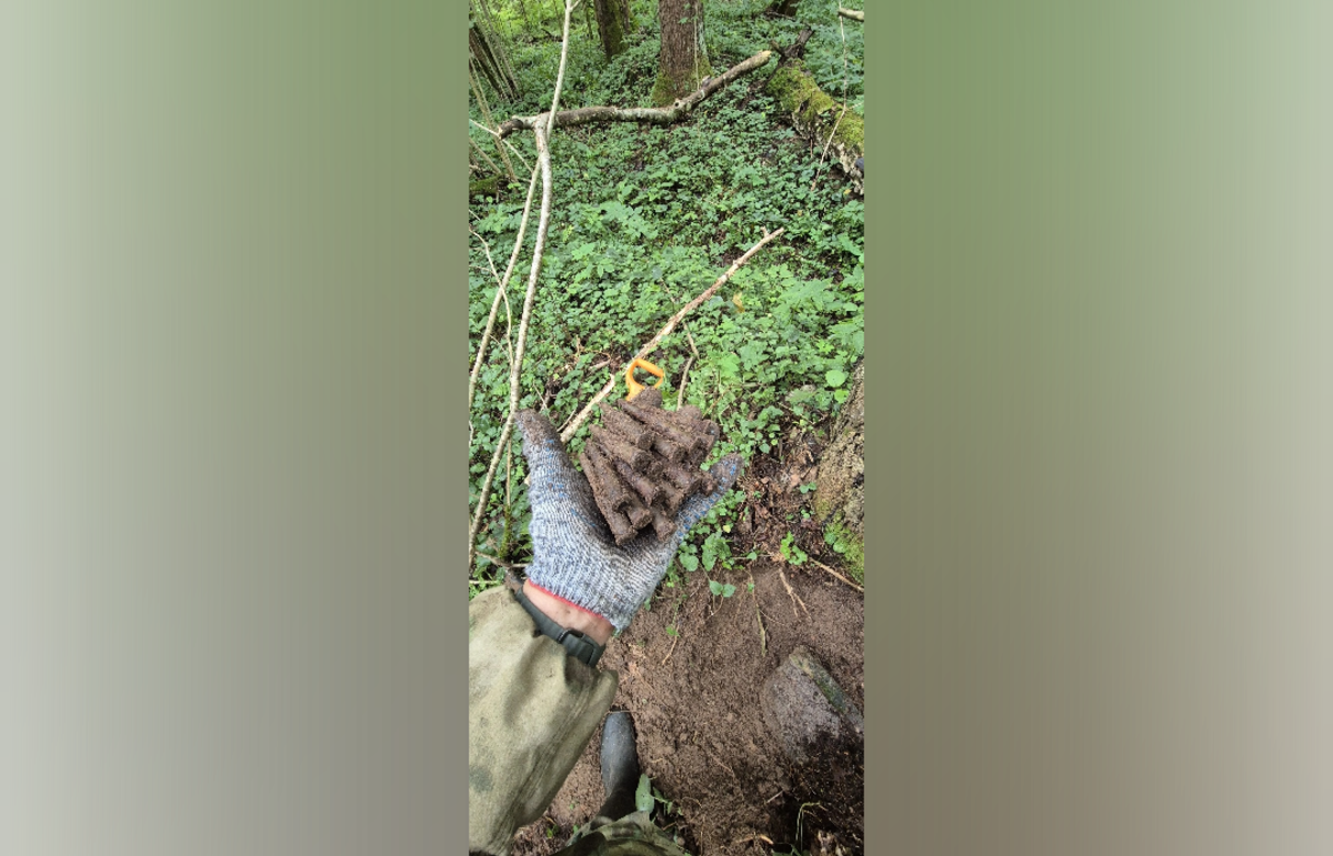 Под Западной Двиной найдены останки бойца РККА - новости Афанасий