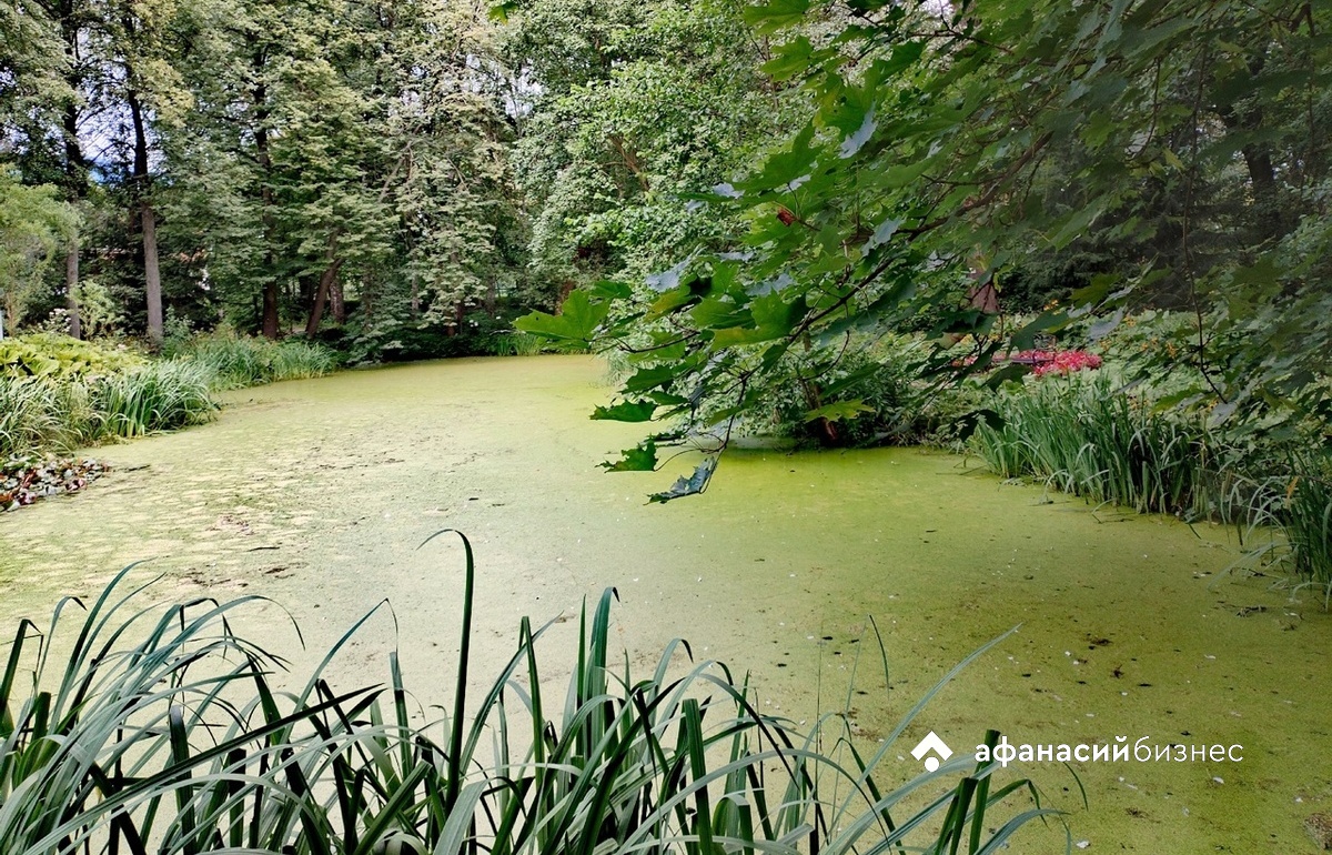 Следующая неделя в Твери будет прохладной и дождливой 