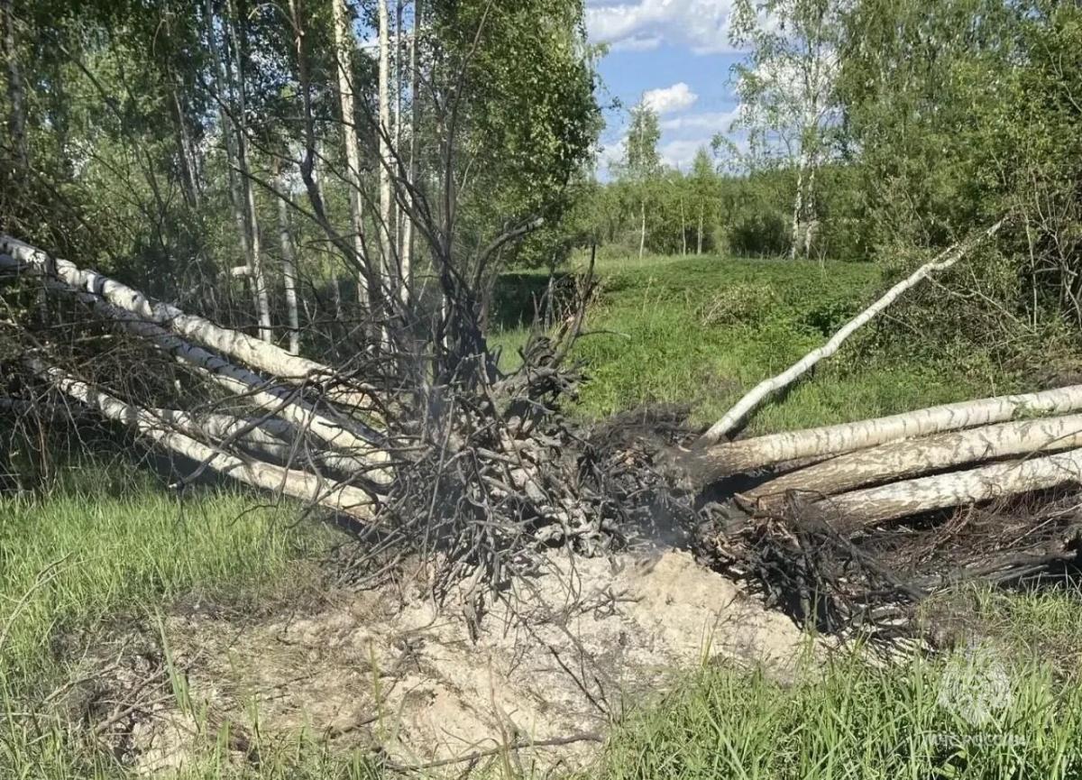 В Тверской области ликвидировали тление торфа Фото: МЧС
