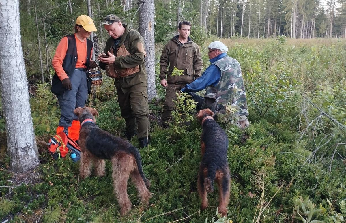 Парапланерист помог найти грибника, заблудившегося в лесу Тверской области - новости Афанасий