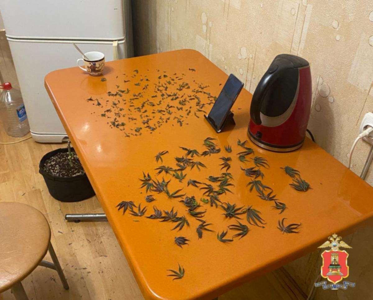 Житель Ржева оборудовал в своей квартире наркоферму Фото: УМВД Тверской области