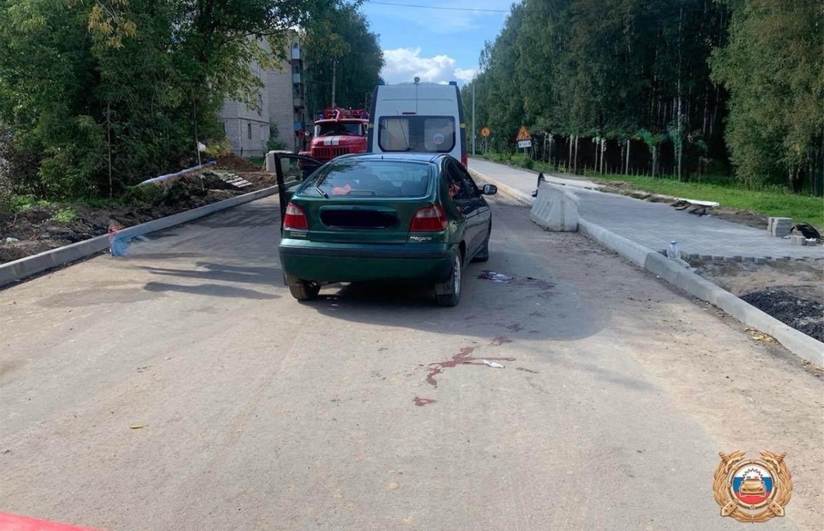В Бежецке мужчина на Renault насмерть сбил пенсионерку - новости Афанасий