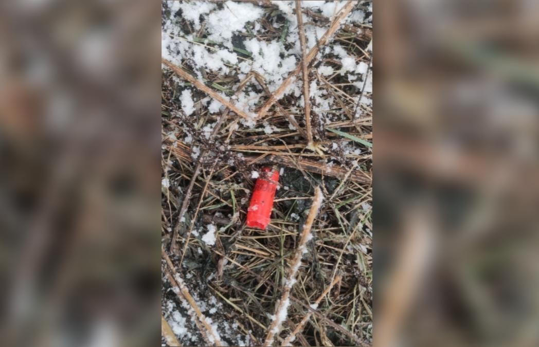 В Тверской области будут судить 76-летнего дедушку, убившего знакомого в лесу  - новости Афанасий