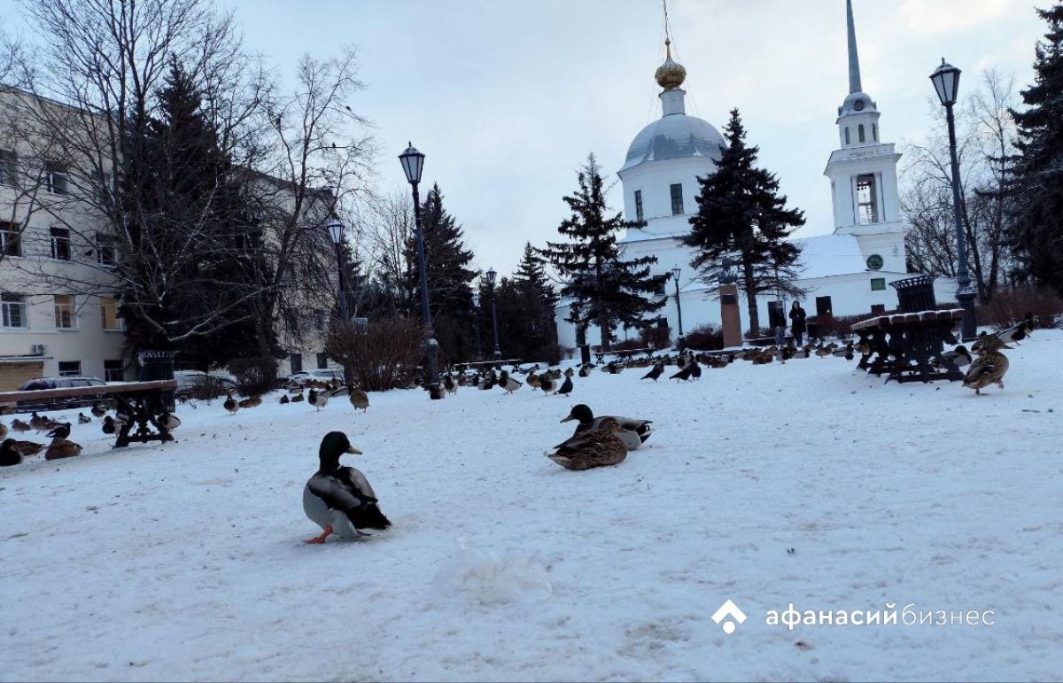 Сегодня в Твери безветренно и до -6 градусов