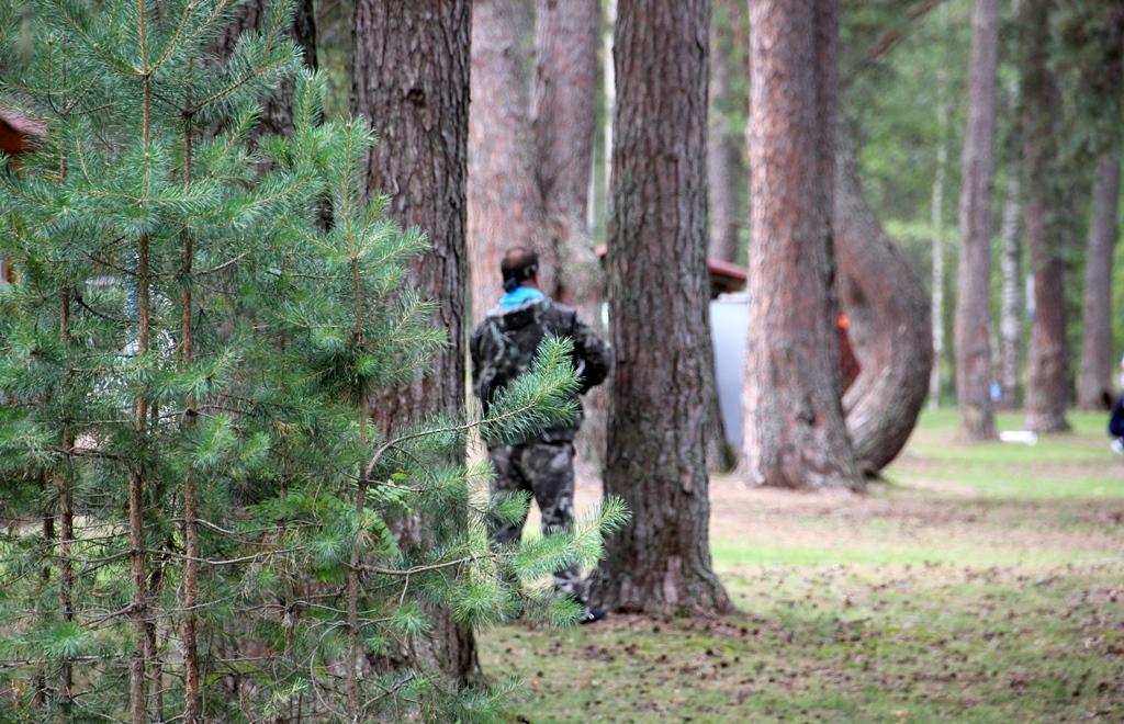 В Тверской области планируют увеличить лимиты добычи диких животных - новости Афанасий
