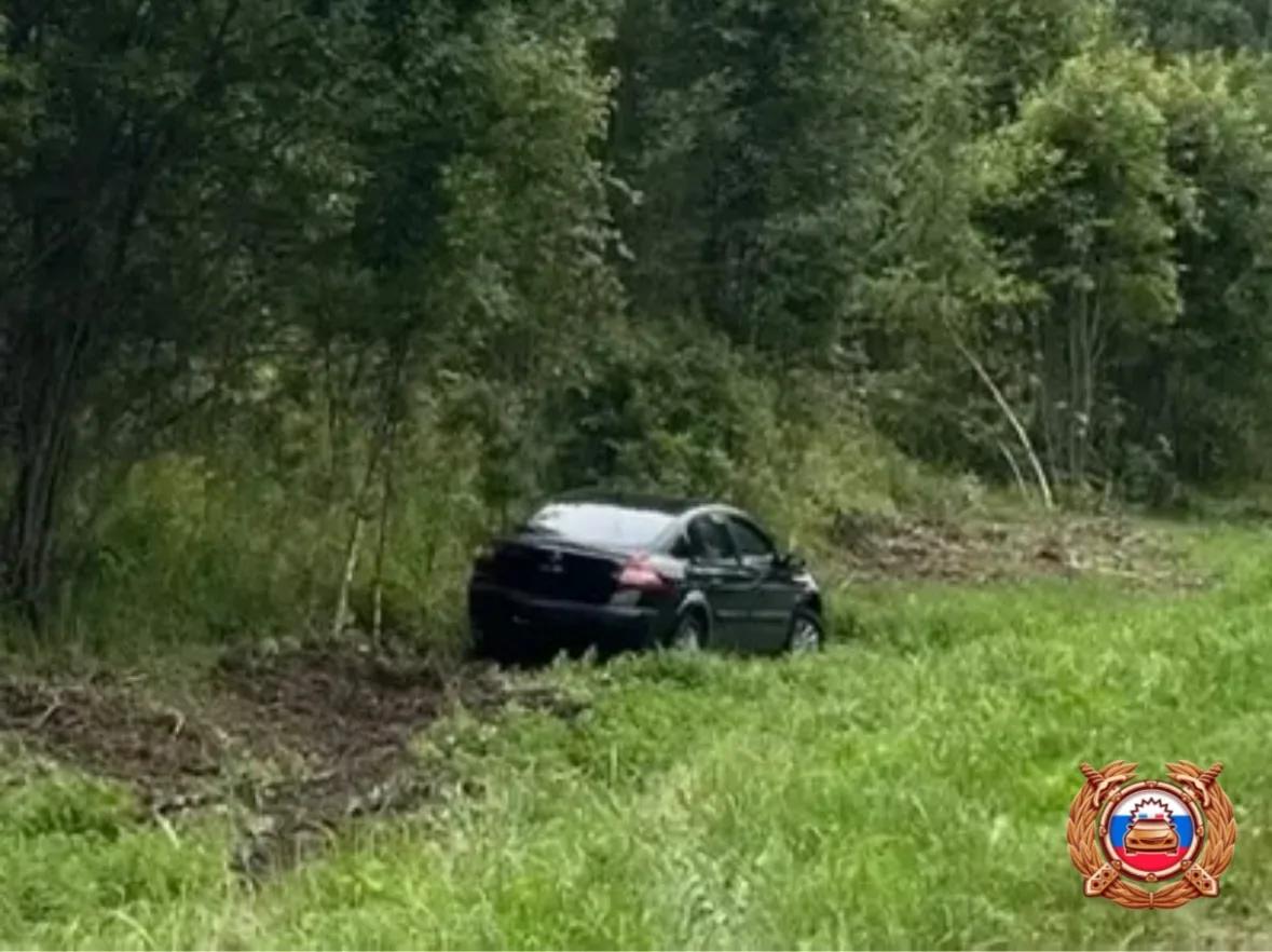 Под Тверью вылетевший с дороги автомобиль остановили кусты Фото: ГАИ
