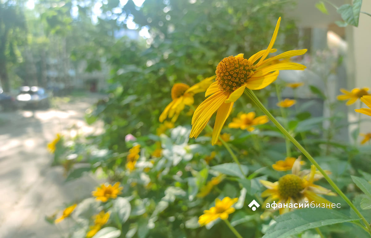 Прогноз погоды в Твери: скандинавский антициклон вновь очистит небо от туч Фото: Afanasy.biz