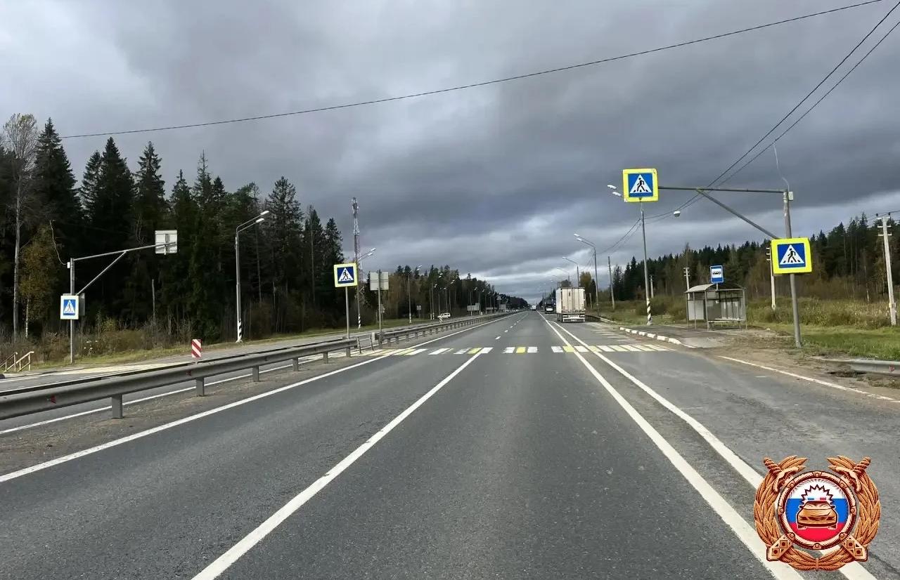 Женщину сбили на трассе М10 в Тверской области - новости Афанасий