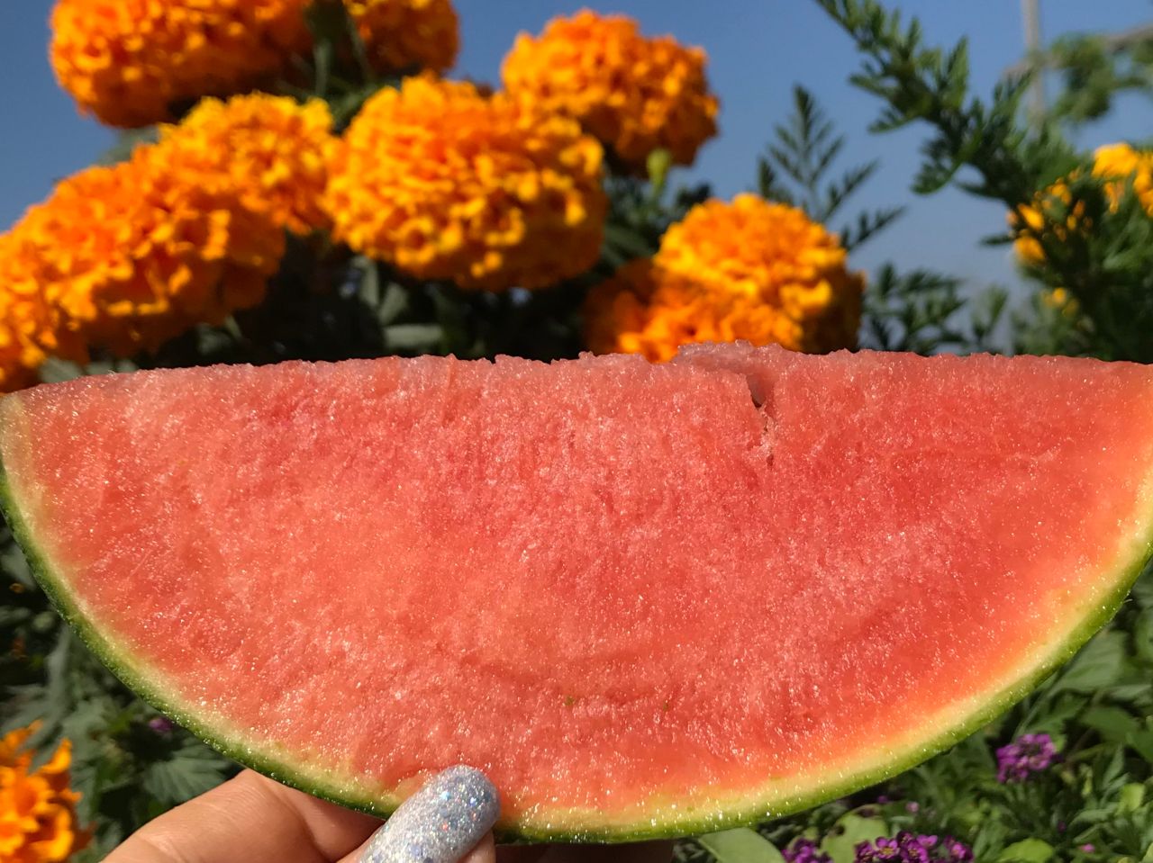 Жительница Тверской области вырастила арбуз весом под 90 кг Фото: архив Натальи Волковой 