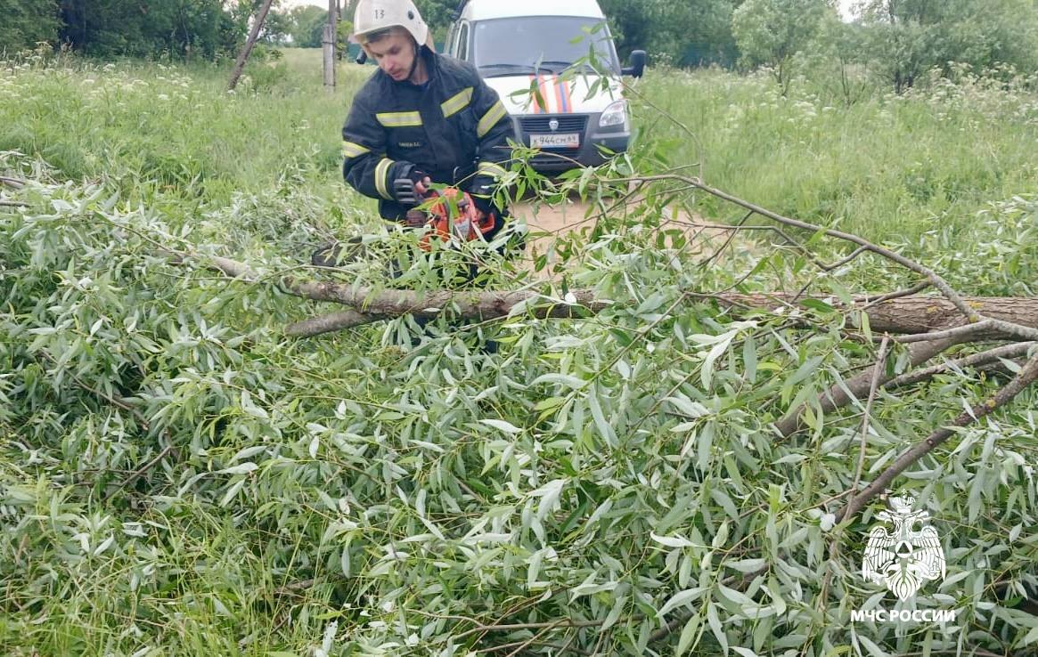 Под Торжком упавшее дерево закрыло выезд из деревни