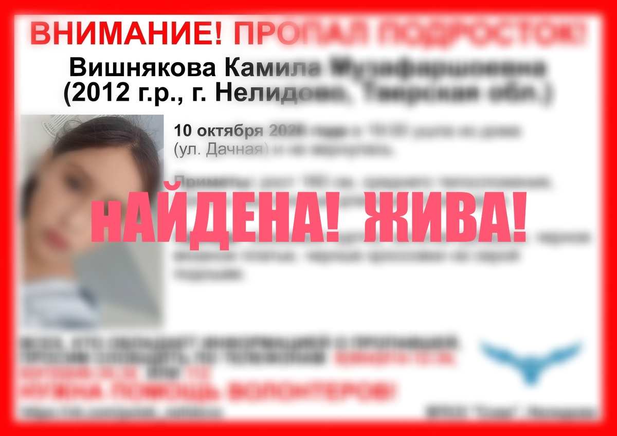 В Тверской области нашлась пропавшая 14-летняя девочка Фото: ВПСО "Сова"