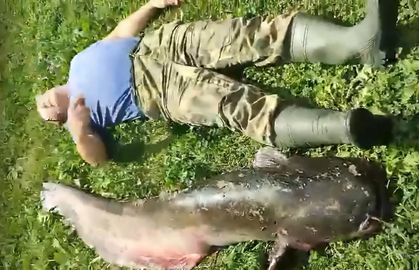 Огромный 32-килограммовый сом час таскал по Волге рыбака - новости Афанасий