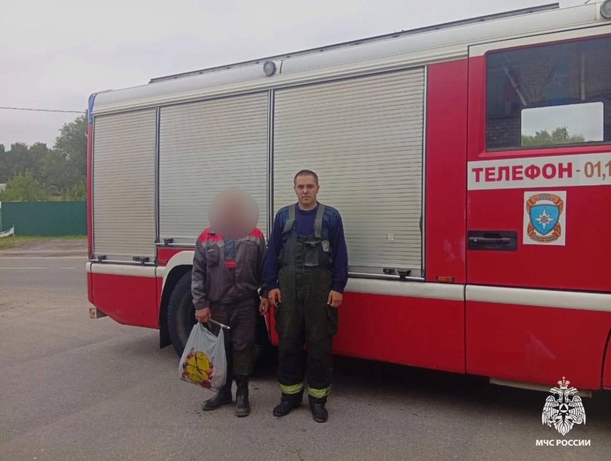 В лесах Тверской области нашли заблудившихся грибников Фото: МЧС Тверской области