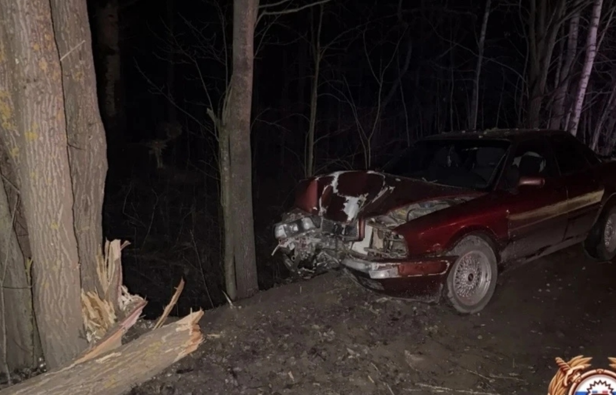 Под Вышним Волочком молодой водитель въехал в дерево Фото: Госавтоинспеция Тверской области