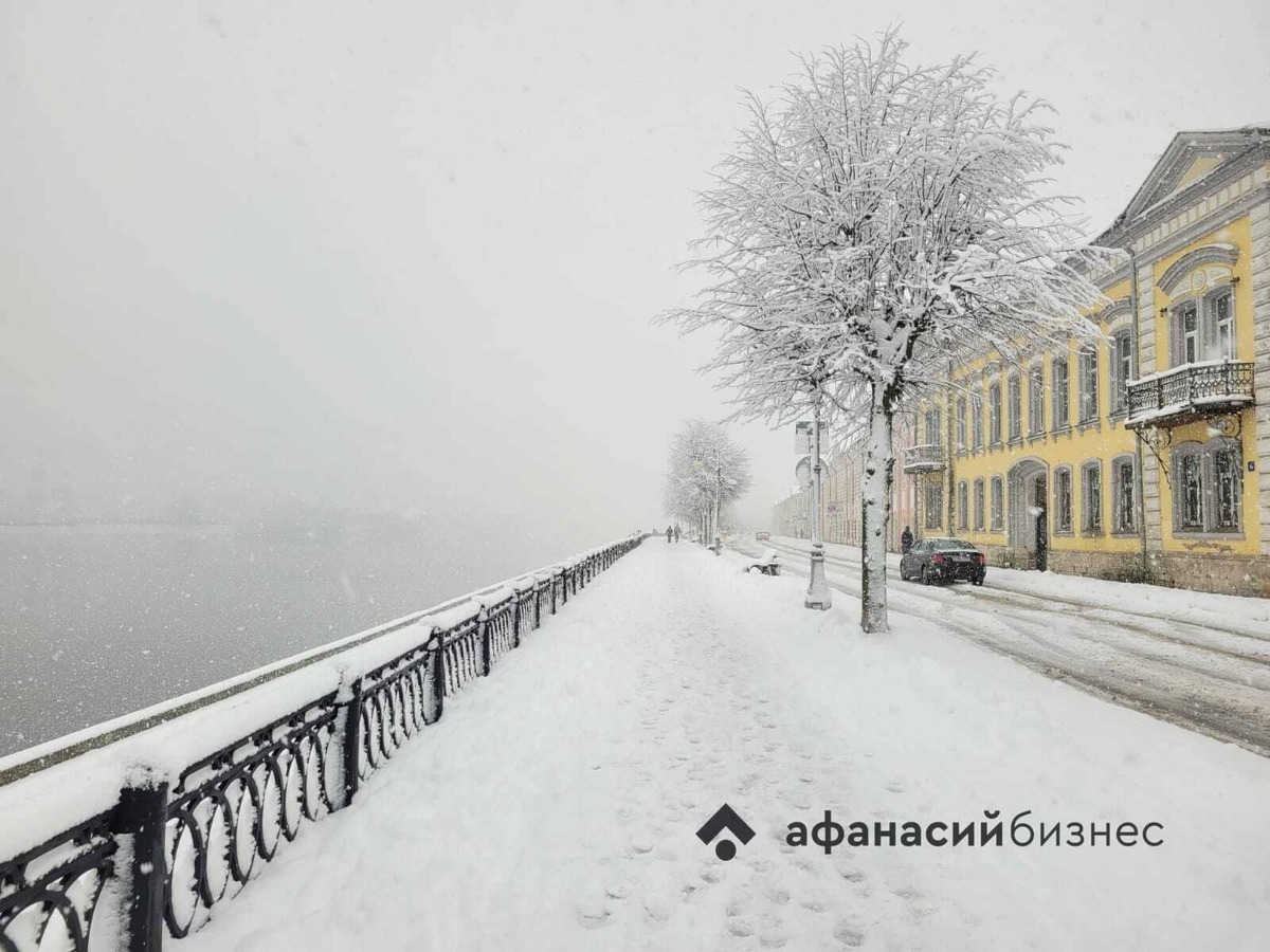 МЧС предупреждает о надвигающейся на Тверскую область сильной метели Фото: Afanasy.biz