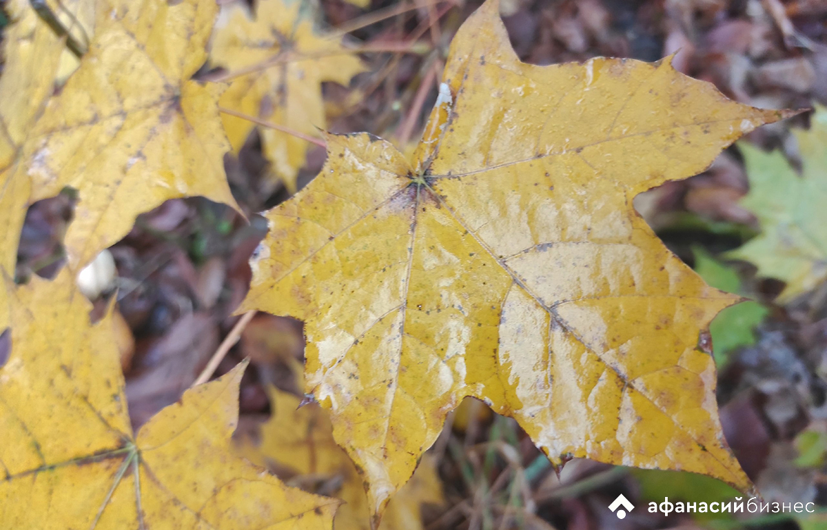 Зарок на Параскеву. Погода в Твери сегодня расскажет о будущем мае 