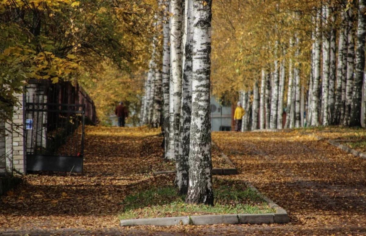 Сегодня в Твери все еще теплее, чем положено по климату