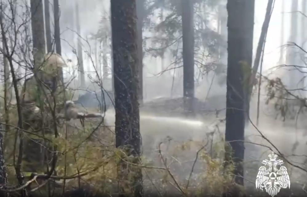Под Весьегонском ликвидирован лесной пожар - новости Афанасий